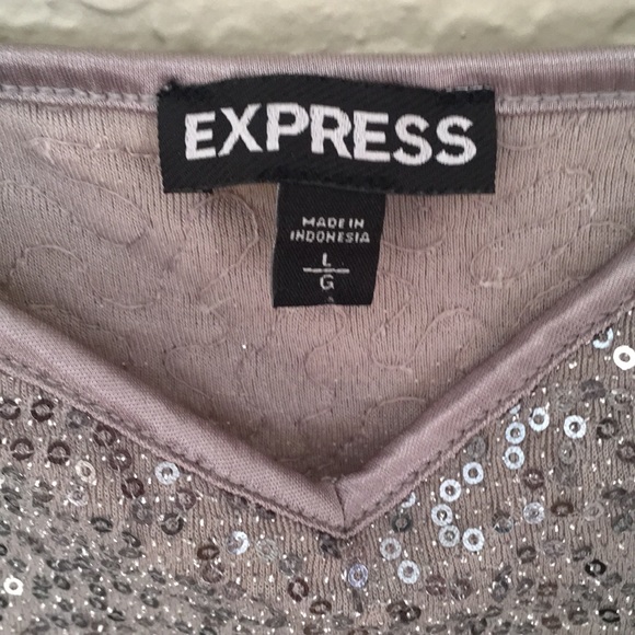 Express Sequin Spaghetti Strap Camisole Sz L - Picture 2 of 4